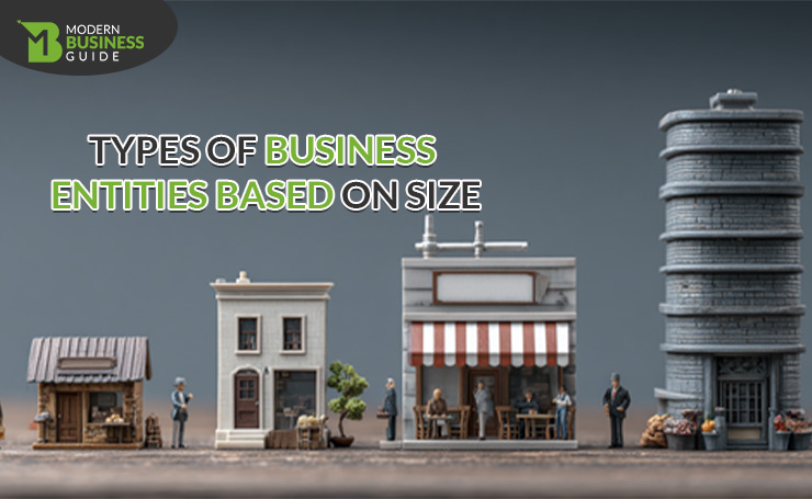 Types of Business Entities Based on Size