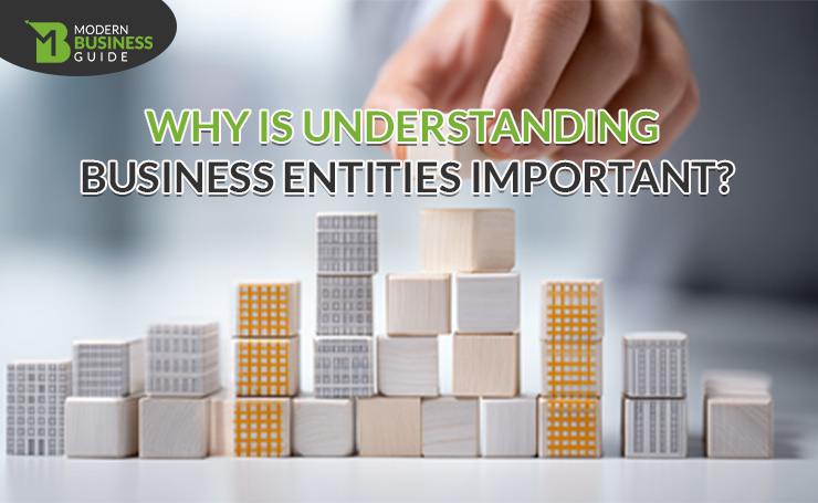Why is Understanding Business Entities Important?